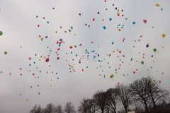 DSCF1562