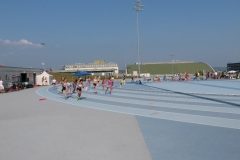 P1040540