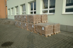 WhatsApp Image 2020-03-25 at 16.46.56