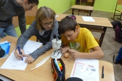 P1040420