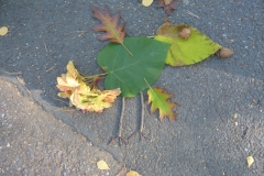 P1070211