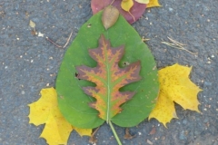 P1070219