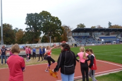 T. Myskova,hod mickem