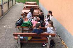 fea563c9-7902-42ca-8845-e4fa60779746
