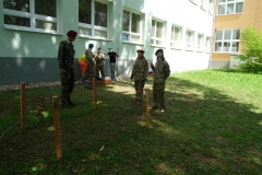 P1810509