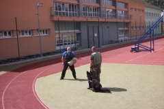 DSCF1810