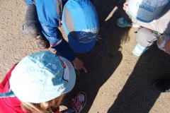 DSCF1746