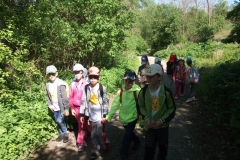 DSCF1755