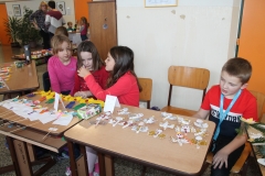 IMG_7919